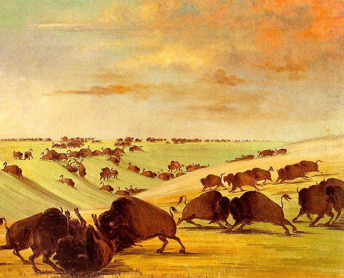 Buffalo Bulls Fighting in Running Season-Upper Missouri, George Catlin